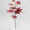 Artificial Plant 64cm Maple leaf single  stem(S) GS-65721003-R1 Leaves&Sprays&Foliages YeahFlower is one of Chinese leading OEM manufacturers and exporters , supplying the silk flowers, wholesale artificial trees