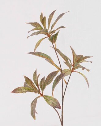 Artificial Plant 22*54cm Eucalyptus spray*3 GS-39121032 Leaves&Sprays&Foliages YeahFlower is one of Chinese leading OEM manufacturers and exporters , supplying the silk flowers, wholesale artificial trees Artificial Plant 22*54cm Eucalyptus spray*3 GS-39121032 Leaves&Sprays&Foliages YeahFlower is one of Chinese leading OEM manufacturers and exporters , supplying the silk flowers, wholesale artificial trees