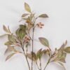 Artificial Plant 23*58cm Eucalyptus spray*3 wtih berries GS-39121023 Leaves&Sprays&Foliages YeahFlower is one of Chinese leading OEM manufacturers and exporters , supplying the silk flowers, wholesale artificial trees