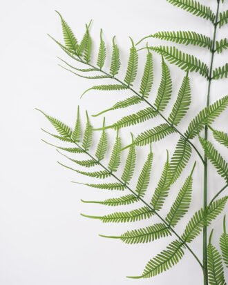 Artificial Plant 75*150cm Fern leaf Spray*5 GS-63121006 Leaves&Sprays&Foliages YeahFlower is one of Chinese leading OEM manufacturers and exporters , supplying the silk flowers, wholesale artificial trees