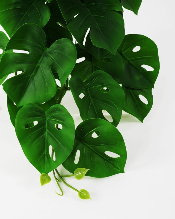 Artificial Plant 50*33*21cm Rohdea japonica Bush GS-06921060-G2 Leaves&Sprays&Foliages YeahFlower is one of Chinese leading OEM manufacturers and exporters , supplying the silk flowers, wholesale artificial trees