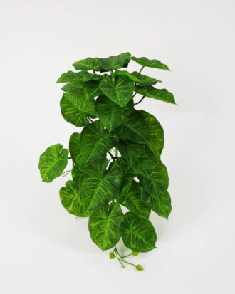 Artificial Plant 55*33*21cm Rohdea japonica Bush GS-06921061-G2 Leaves&Sprays&Foliages YeahFlower is one of Chinese leading OEM manufacturers and exporters , supplying the silk flowers, wholesale artificial trees