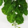 Artificial Plant 55*33*21cm Rohdea japonica Bush GS-06921061-G2 Leaves&Sprays&Foliages YeahFlower is one of Chinese leading OEM manufacturers and exporters , supplying the silk flowers, wholesale artificial trees