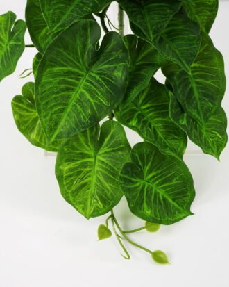 Artificial Plant 55*33*21cm Rohdea japonica Bush GS-06921061-G2 Leaves&Sprays&Foliages YeahFlower is one of Chinese leading OEM manufacturers and exporters , supplying the silk flowers, wholesale artificial trees