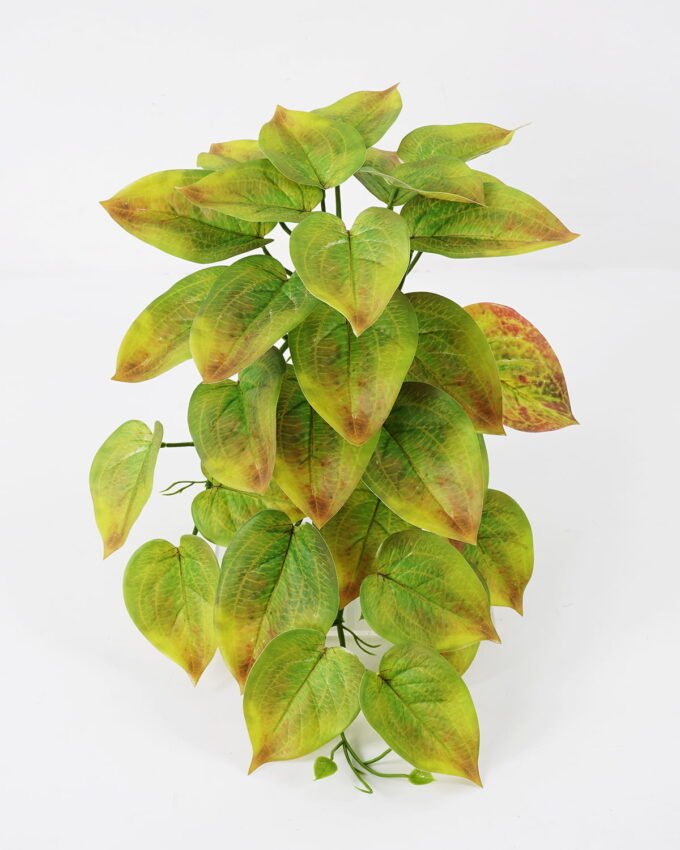 Artificial Plant 52*34*21cm Rohdea japonica Bush GS-06921062 Leaves&Sprays&Foliages YeahFlower is one of Chinese leading OEM manufacturers and exporters , supplying the silk flowers, wholesale artificial trees
