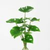 Artificial Plant 28*32cm Rohdea japonica GS-06921063-G3 Leaves&Sprays&Foliages YeahFlower is one of Chinese leading OEM manufacturers and exporters , supplying the silk flowers, wholesale artificial trees