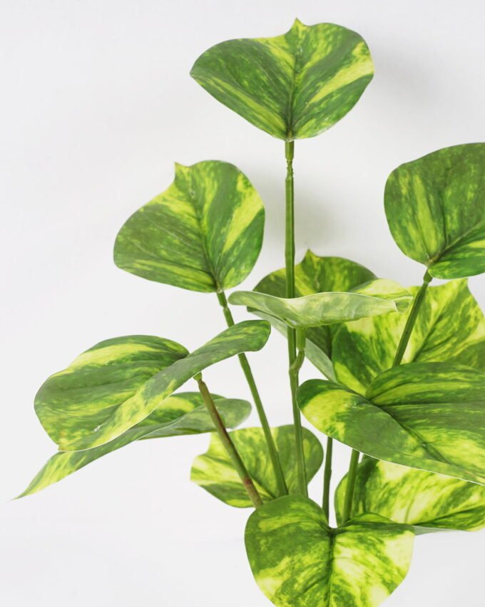 Artificial Plant 31*33cm Rohdea japonica GS-06921064 Leaves&Sprays&Foliages YeahFlower is one of Chinese leading OEM manufacturers and exporters , supplying the silk flowers, wholesale artificial trees