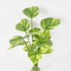 Artificial Plant 31*33cm Rohdea japonica GS-06921064 Leaves&Sprays&Foliages YeahFlower is one of Chinese leading OEM manufacturers and exporters , supplying the silk flowers, wholesale artificial trees