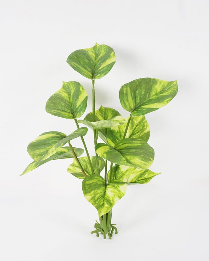 Artificial Plant 31*33cm Rohdea japonica GS-06921064 Leaves&Sprays&Foliages YeahFlower is one of Chinese leading OEM manufacturers and exporters , supplying the silk flowers, wholesale artificial trees
