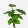 Artificial Plant 32*31cm Rohdea japonica GS-06921065-G2 Leaves&Sprays&Foliages YeahFlower is one of Chinese leading OEM manufacturers and exporters , supplying the silk flowers, wholesale artificial trees