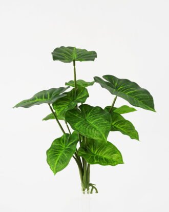 Artificial Plant 32*31cm Rohdea japonica GS-06921065-G2 Leaves&Sprays&Foliages YeahFlower is one of Chinese leading OEM manufacturers and exporters , supplying the silk flowers, wholesale artificial trees