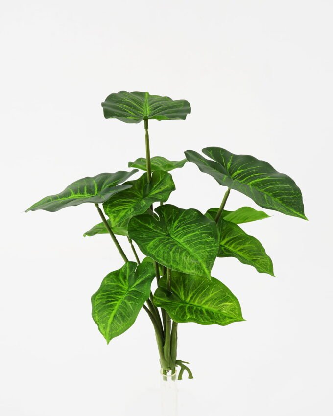 Artificial Plant 32*31cm Rohdea japonica GS-06921065-G2 Leaves&Sprays&Foliages YeahFlower is one of Chinese leading OEM manufacturers and exporters , supplying the silk flowers, wholesale artificial trees