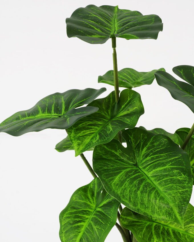 Artificial Plant 32*31cm Rohdea japonica GS-06921065-G2 Leaves&Sprays&Foliages YeahFlower is one of Chinese leading OEM manufacturers and exporters , supplying the silk flowers, wholesale artificial trees