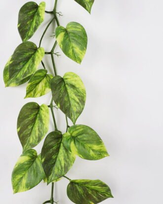 Artificial Plant 27*115cm Rohdea japonica Garland GS-06921057 Leaves&Sprays&Foliages YeahFlower is one of Chinese leading OEM manufacturers and exporters , supplying the silk flowers, wholesale artificial trees