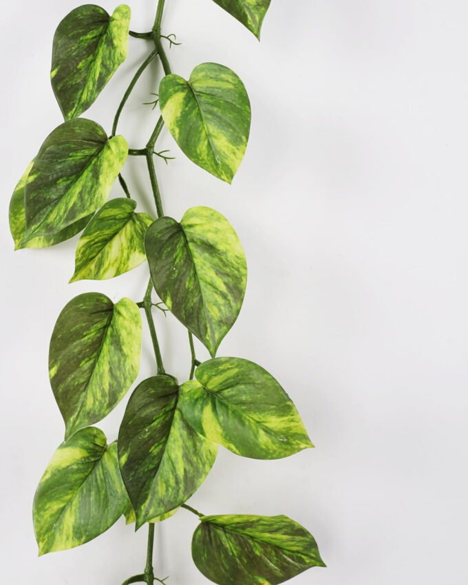 Artificial Plant 27*115cm Rohdea japonica Garland GS-06921057 Leaves&Sprays&Foliages YeahFlower is one of Chinese leading OEM manufacturers and exporters , supplying the silk flowers, wholesale artificial trees
