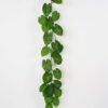 Artificial Plant 24*116cm Rohdea japonica Garland GS-06921059 Leaves&Sprays&Foliages YeahFlower is one of Chinese leading OEM manufacturers and exporters , supplying the silk flowers, wholesale artificial trees