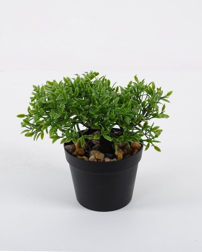 Artificial Plant 18*16*20cm mini tree in PP pot GS-51721090 Potted Flowers&Plants YeahFlower is one of Chinese leading OEM manufacturers and exporters , supplying the silk flowers, wholesale artificial trees