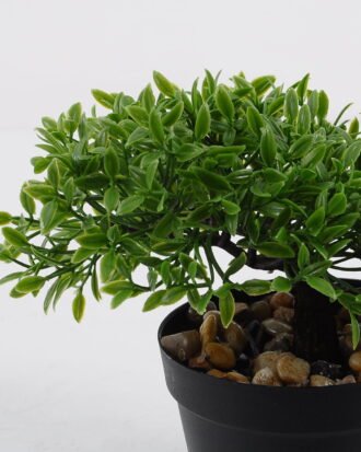 Artificial Plant 18*16*20cm mini tree in PP pot GS-51721090 Potted Flowers&Plants YeahFlower is one of Chinese leading OEM manufacturers and exporters , supplying the silk flowers, wholesale artificial trees