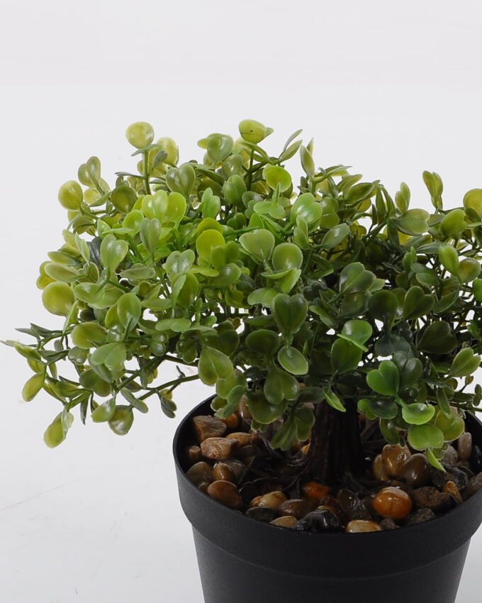 Artificial Plant 20*16*19cm mini tree in PP pot GS-51721091 Potted Flowers&Plants YeahFlower is one of Chinese leading OEM manufacturers and exporters , supplying the silk flowers, wholesale artificial trees