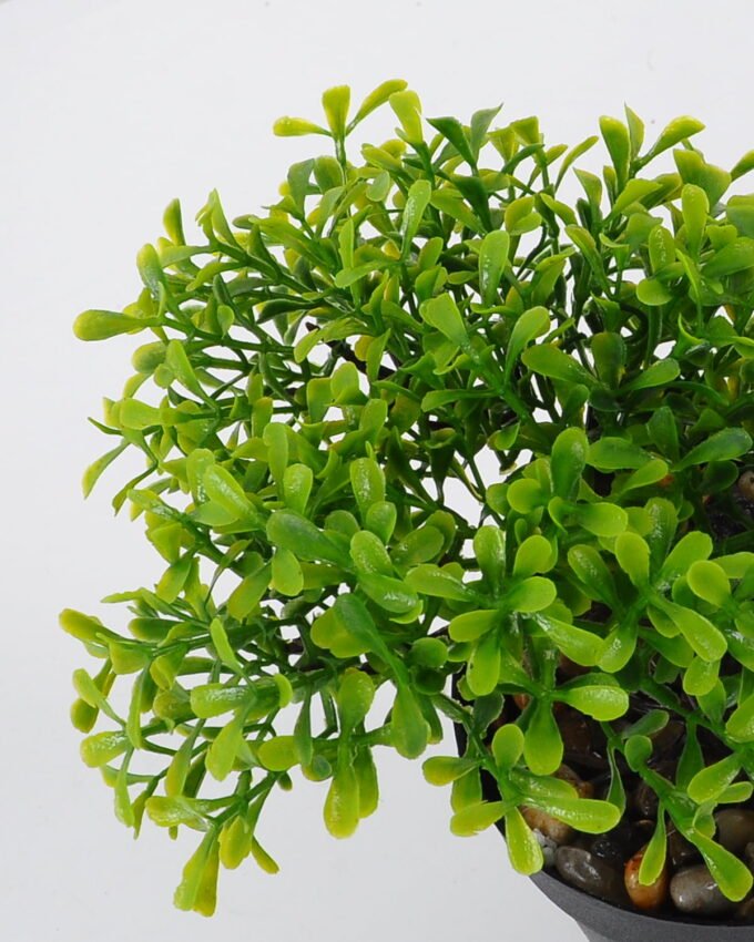 Artificial Plant 18*16*19cm mini tree in PP pot GS-51721092 Potted Flowers&Plants YeahFlower is one of Chinese leading OEM manufacturers and exporters , supplying the silk flowers, wholesale artificial trees