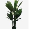 Artificial Tree 150cm Spathiphyllum*3 in pp pot(27Leaves) GS-65821004 Tree&Plant YeahFlower is one of Chinese leading OEM manufacturers and exporters , supplying the silk flowers, wholesale artificial trees