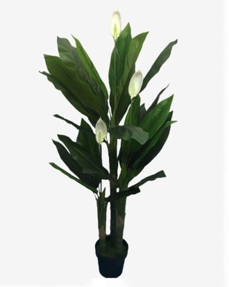 Artificial Tree 150cm Spathiphyllum*3 in pp pot(27Leaves) GS-65821004 Tree&Plant YeahFlower is one of Chinese leading OEM manufacturers and exporters , supplying the silk flowers, wholesale artificial trees