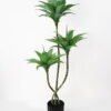 Artificial Tree 56*39*110cm Agave*3(48Leaves) GS-48521056 Tree&Plant YeahFlower is one of Chinese leading OEM manufacturers and exporters , supplying the silk flowers, wholesale artificial trees