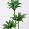 Artificial Tree 56*39*110cm Agave*3(48Leaves) GS-48521056 Tree&Plant YeahFlower is one of Chinese leading OEM manufacturers and exporters , supplying the silk flowers, wholesale artificial trees