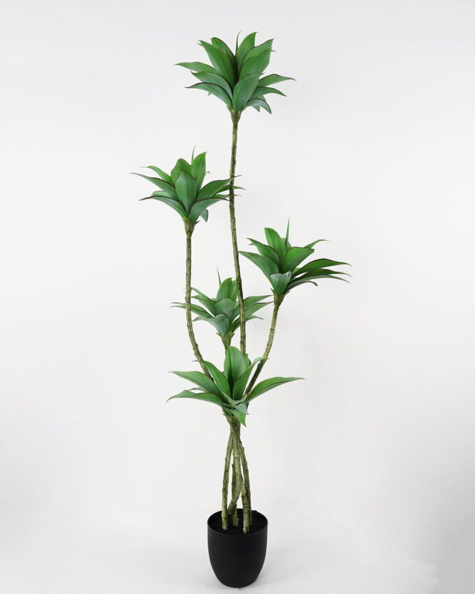 Artificial Tree Agave 5 78Leaves GS-48521058_1 Artificial Tree 72*66*158cm Agave*5 (78Leaves) GS-48521058 Tree&Plant YeahFlower is one of Chinese leading OEM manufacturers and exporters , supplying the silk flowers, wholesale artificial trees