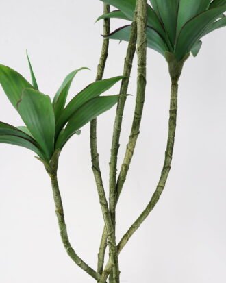 Artificial Tree 72*66*158cm Agave*5 (78Leaves) GS-48521058 Tree&Plant YeahFlower is one of Chinese leading OEM manufacturers and exporters , supplying the silk flowers, wholesale artificial trees Artificial Tree 72*66*158cm Agave*5 (78Leaves) GS-48521058 Tree&Plant YeahFlower is one of Chinese leading OEM manufacturers and exporters , supplying the silk flowers, wholesale artificial trees