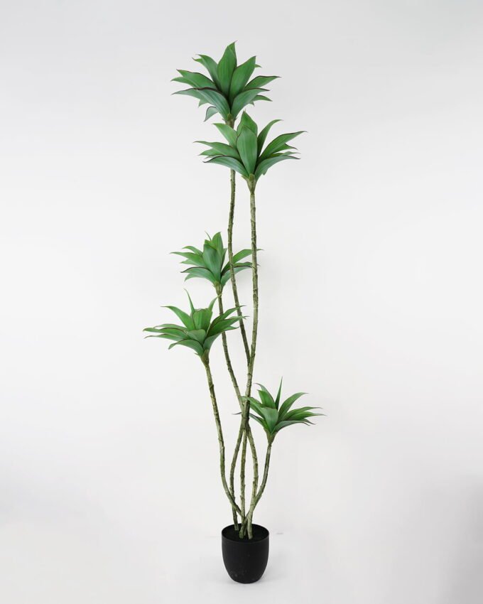 Artificial Tree 70*78*180cm Agave*5  78Leaves  GS-48521059 Tree&Plant YeahFlower is one of Chinese leading OEM manufacturers and exporters , supplying the silk flowers, wholesale artificial trees