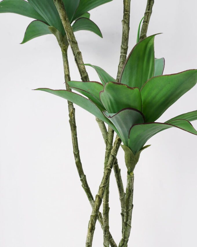 Artificial Tree 70*78*180cm Agave*5  78Leaves  GS-48521059 Tree&Plant YeahFlower is one of Chinese leading OEM manufacturers and exporters , supplying the silk flowers, wholesale artificial trees