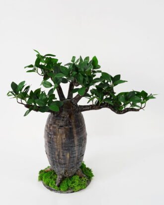 Artificial Tree 55*39*53cm Baobab tree GS-48521051 Tree&Plant YeahFlower is one of Chinese leading OEM manufacturers and exporters , supplying the silk flowers, wholesale artificial trees