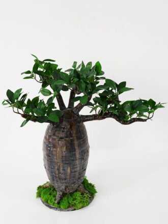 Artificial Tree 82*82*118cm Sisal in pot GS-61121011 Tree&Plant 3,000+ sqm showroom with thousands of artificial flowers, plants & trees ready for global sourcing.