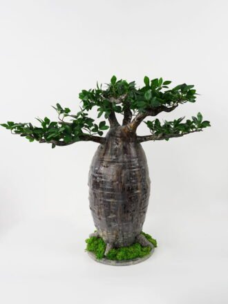 Artificial Tree 55*39*53cm Baobab tree GS-48521051 Tree&Plant 3,000+ sqm showroom with thousands of artificial flowers, plants & trees ready for global sourcing.