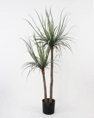 Artificial Tree 92*80*153cm Dacaena*2 in pot(39Leaves) GS-61121002 Tree&Plant YeahFlower is one of Chinese leading OEM manufacturers and exporters , supplying the silk flowers, wholesale artificial trees