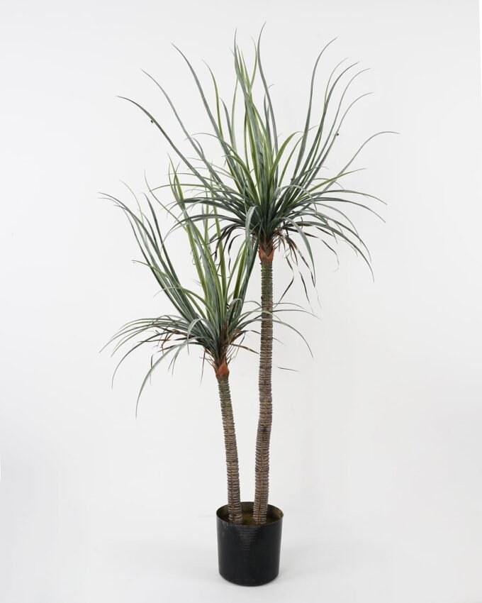 Artificial Tree 92*80*153cm Dacaena*2 in pot(39Leaves) GS-61121002 Tree&Plant YeahFlower is one of Chinese leading OEM manufacturers and exporters , supplying the silk flowers, wholesale artificial trees