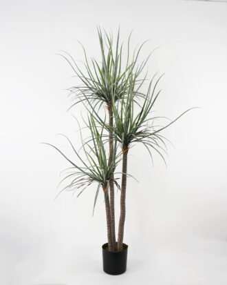 Artificial Tree 110*90*178 Dacaena*3 in pot(54Leaves) GS-61121001 Tree&Plant YeahFlower is one of Chinese leading OEM manufacturers and exporters , supplying the silk flowers, wholesale artificial trees