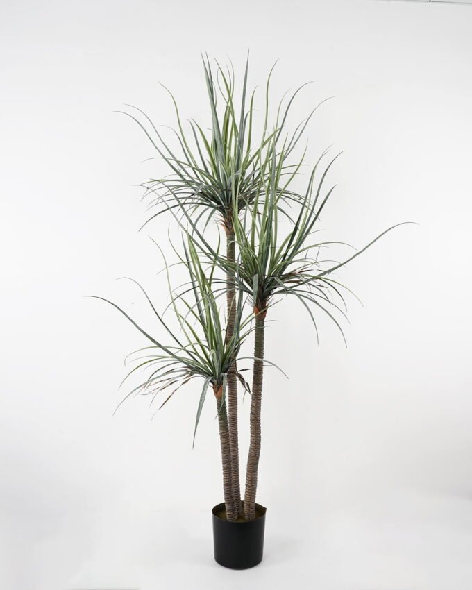 Artificial Tree 110*90*178 Dacaena*3 in pot(54Leaves) GS-61121001 Tree&Plant YeahFlower is one of Chinese leading OEM manufacturers and exporters , supplying the silk flowers, wholesale artificial trees