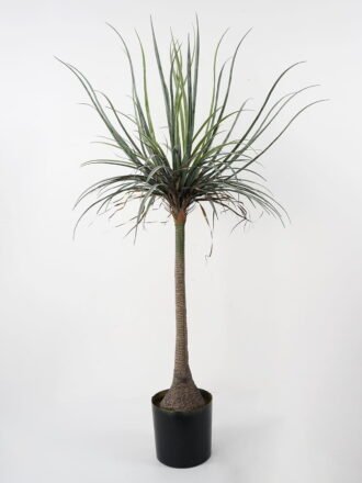 Artificial Tree 92*92*164cm Dacaena in pot(36Leaves) GS-61121006 Tree&Plant 3,000+ sqm showroom with thousands of artificial flowers, plants & trees ready for global sourcing.