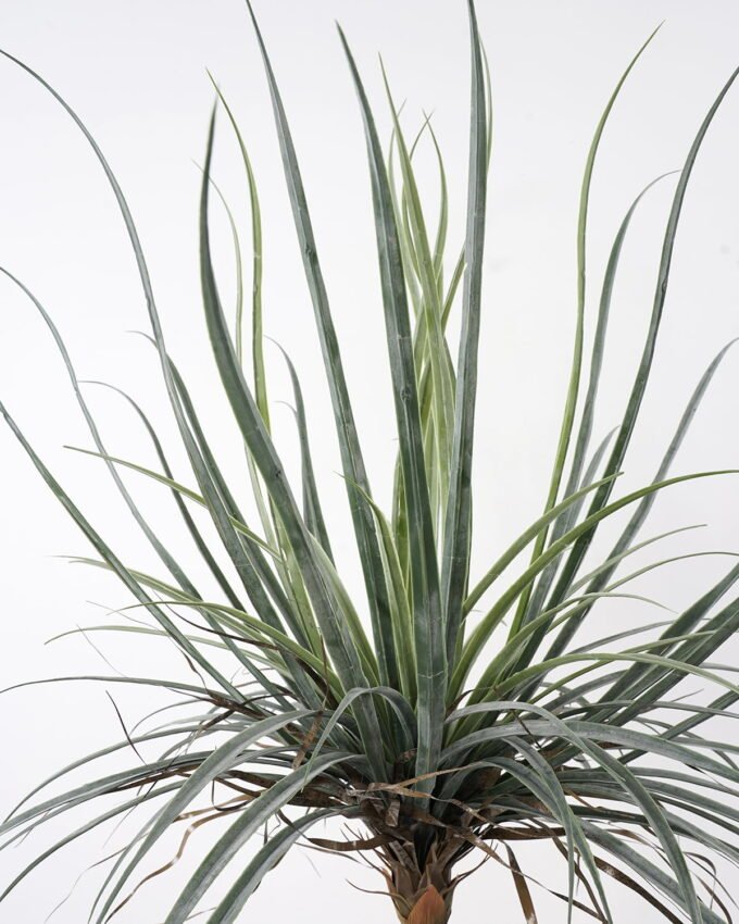 Artificial Tree 88*88*138cm Dacaena in pot(20Leaves) GS-61121007 Tree&Plant YeahFlower is one of Chinese leading OEM manufacturers and exporters , supplying the silk flowers, wholesale artificial trees