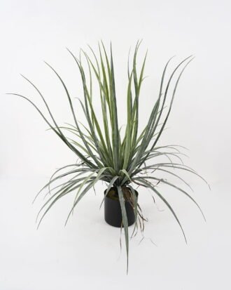 Artificial Tree 87*87*72cm Dacaena in pot(23Leaves) GS-61121003 Tree&Plant YeahFlower is one of Chinese leading OEM manufacturers and exporters , supplying the silk flowers, wholesale artificial trees