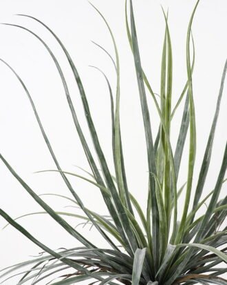 Artificial Tree 86*86*110cm Dacaena in pot(24Leaves) GS-61121004 Tree&Plant YeahFlower is one of Chinese leading OEM manufacturers and exporters , supplying the silk flowers, wholesale artificial trees