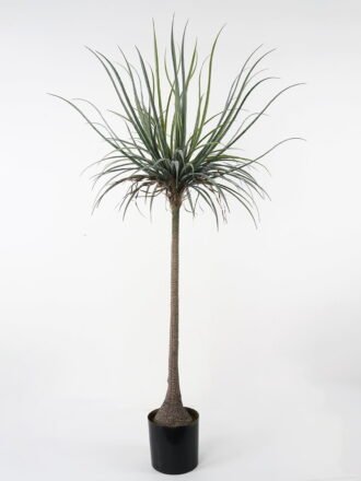Artificial Tree 86*86*110cm Dacaena in pot(24Leaves) GS-61121004 Tree&Plant 3,000+ sqm showroom with thousands of artificial flowers, plants & trees ready for global sourcing.