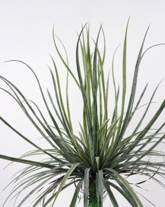 Artificial Tree 90*90*113cm Dacaena in pot(36Leaves) GS-61121009 Tree&Plant YeahFlower is one of Chinese leading OEM manufacturers and exporters , supplying the silk flowers, wholesale artificial trees