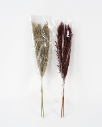 Dried Flowers 21*8*60CM Dried natural items bouquet with PP wrapped(36g/bouquet, H:60CM) GS-56621110JJA-K1 Bouquet YeahFlower is one of Chinese leading OEM manufacturers and exporters , supplying the silk flowers, wholesale artificial trees