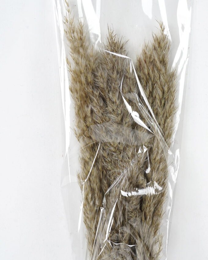 Dried Flowers 21*8*60CM Dried natural items bouquet with PP wrapped(36g/bouquet, H:60CM) GS-56621110JJA-K1 Bouquet YeahFlower is one of Chinese leading OEM manufacturers and exporters , supplying the silk flowers, wholesale artificial trees