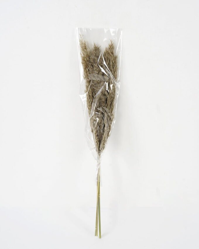 Dried Flowers 21*8*60CM Dried natural items bouquet with PP wrapped(36g/bouquet, H:60CM) GS-56621110JJA-K1 Bouquet YeahFlower is one of Chinese leading OEM manufacturers and exporters , supplying the silk flowers, wholesale artificial trees