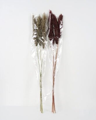 Dried Flowers 21*8*110CM Dried natural items bouquet with PP wrapped(3PCS/bouquet, H:110CM) GS-56621112JJA-K1 Bouquet YeahFlower is one of Chinese leading OEM manufacturers and exporters , supplying the silk flowers, wholesale artificial trees