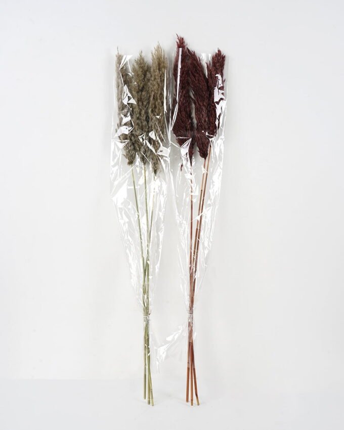 Dried Flowers 21*8*110CM Dried natural items bouquet with PP wrapped(3PCS/bouquet, H:110CM) GS-56621112JJA-K1 Bouquet YeahFlower is one of Chinese leading OEM manufacturers and exporters , supplying the silk flowers, wholesale artificial trees